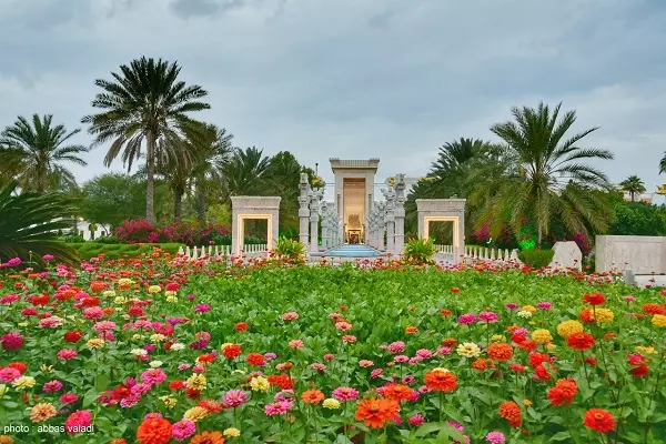 هتل داریوش کیش